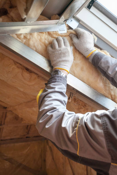 Best Insulation for New Construction  in Perezville, TX