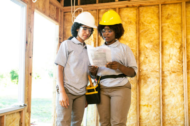 Best Cellulose Insulation  in Perezville, TX