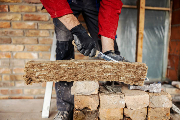 Best Garage Insulation Installation  in Perezville, TX