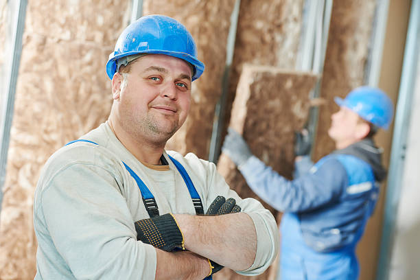 Best Best Insulation Companies  in Perezville, TX