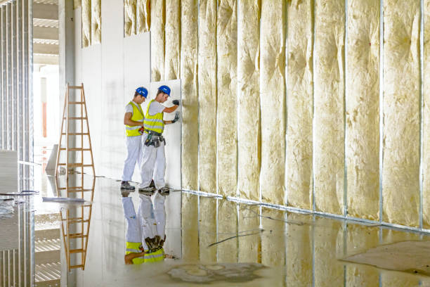 Best Spray Foam Insulation  in Perezville, TX